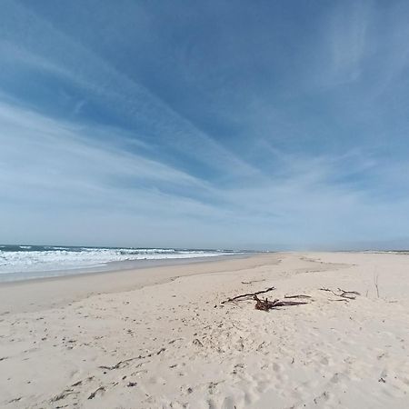 Apartment Close To The Ria De Aveiro, Sao Jacinto المظهر الخارجي الصورة