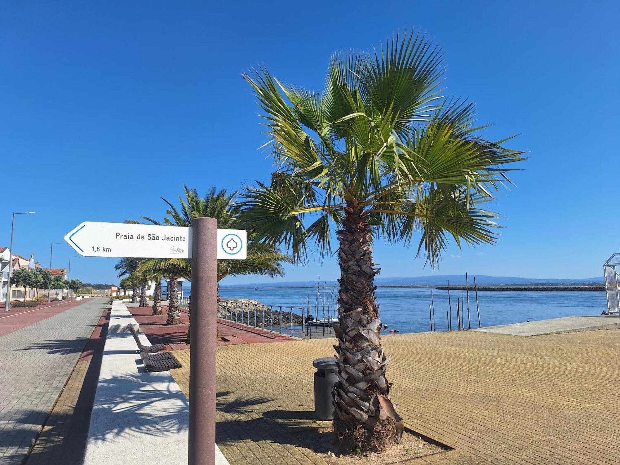 Apartment Close To The Ria De Aveiro, Sao Jacinto المظهر الخارجي الصورة