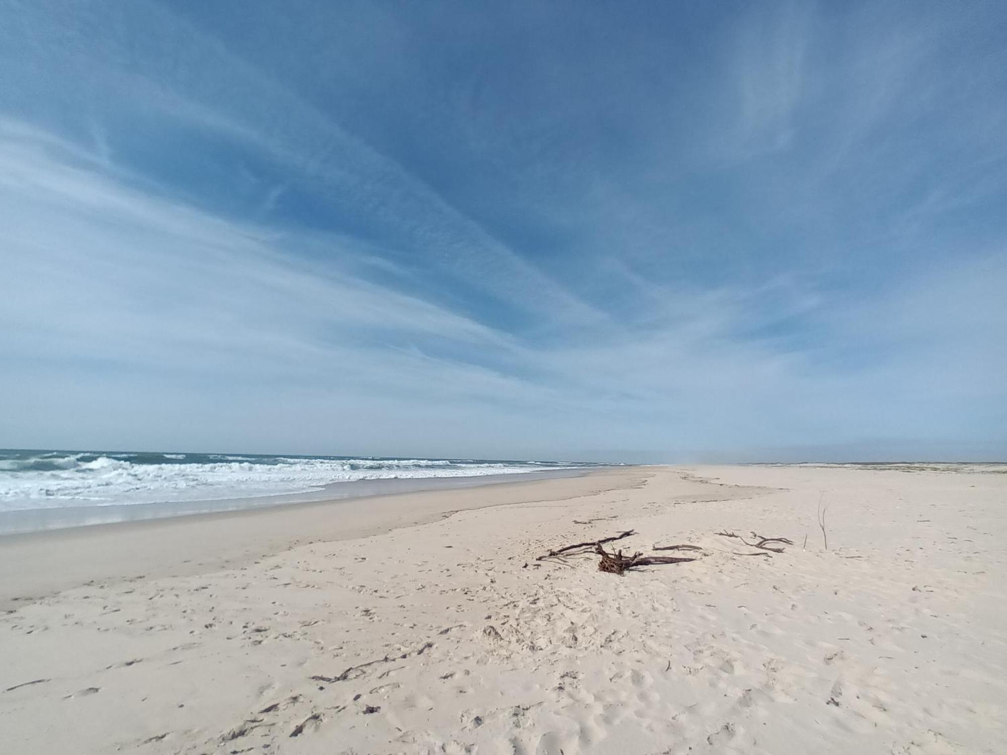 Apartment Close To The Ria De Aveiro, Sao Jacinto المظهر الخارجي الصورة